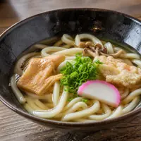 Danie Makaron udon